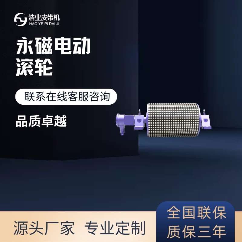 永磁電動(dòng)滾筒